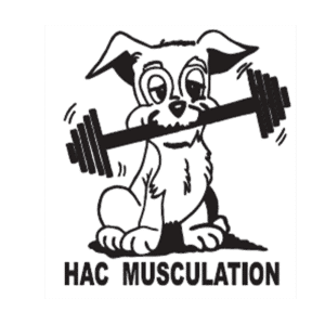 HAC Musculation