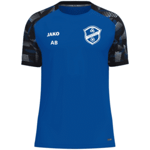  – Mon Espace Club, un service fourni par REF SPORTS PONTIVY